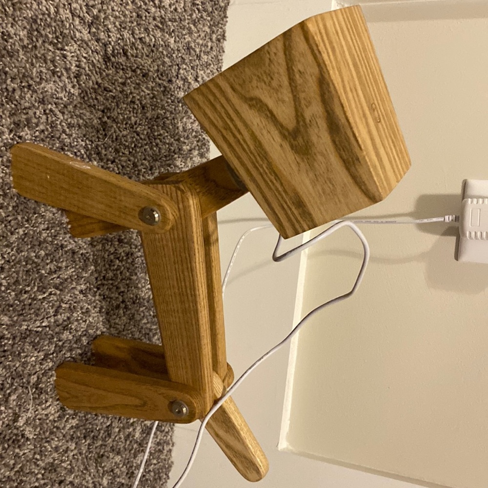 Wooden dog light!